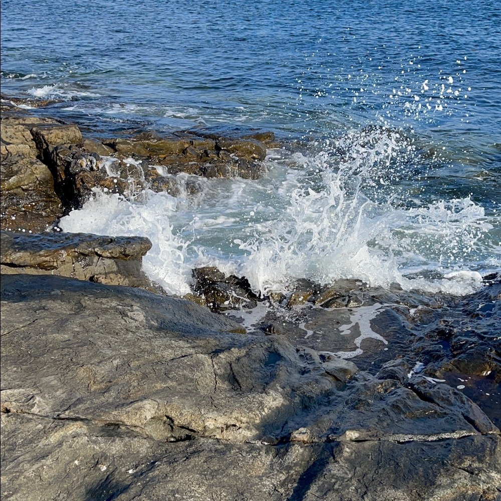 Meet your Posher, Yolanda